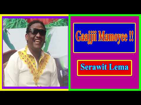 ጋዬናኦች ቤት ጊዶ ሰራዊት ለማ Gaayeena Ochi Beeti Giiddo Serawit Lema