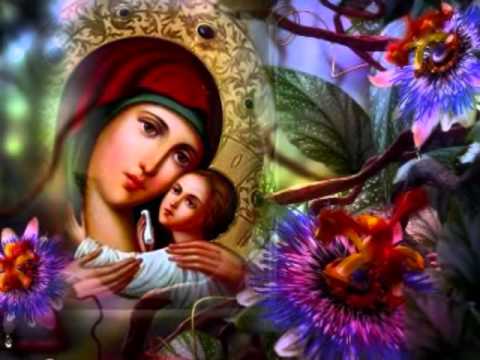 انت العدرا وام النور انت الحضن وانت الحب بولس ملاك Bekhit انت العدرا وام النور انت الحضن وانت الحب بولس ملاك Bekhit