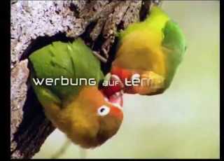 Terranova Trailer Und Werbung 07 2007