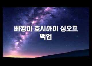 백업 사운드만 호시아이 41곡 씽오프