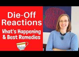 Die Off Herxheimer Reactions Candida SIBO SIFO And Dysbiosis