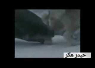 موطبعنا الخيانة ولا طبعنا االغدر اسف بعتزر منكم ماعم اتفاعل من الشغل انتم قلبي