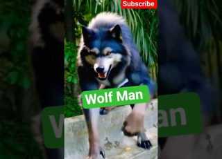  Wolf Man Shorts Funny Magic Trending