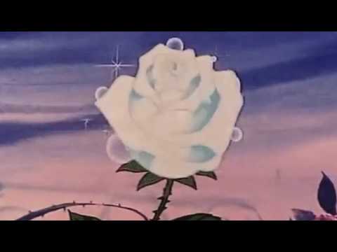 Harvey Her S Slowed Reverb