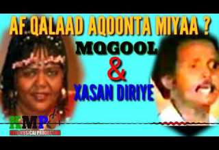 AF QAlAAD AQOONTA MIYAA MAGOOL IYO XASAN DIIRIYE