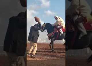 تقاليد با تهامي تير القلة مؤشر على الإتقان أثناء الطلقة في التبوريدة مول القلة