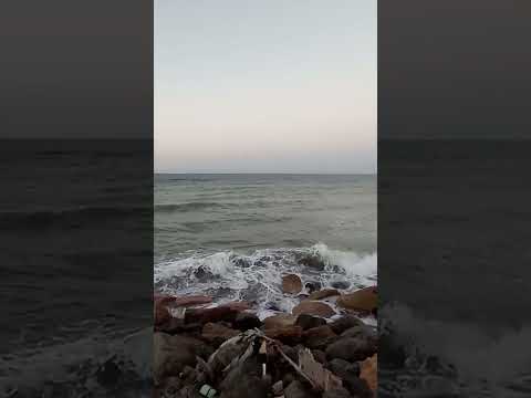 ويالله كم كثرت جراحي سراب ناصر السعيد