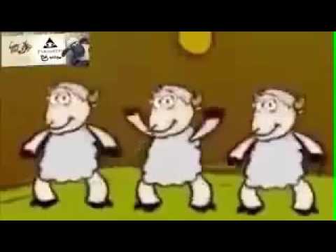 صوت الخروف ماء ماء اغنيه عيد الاضحى 2015