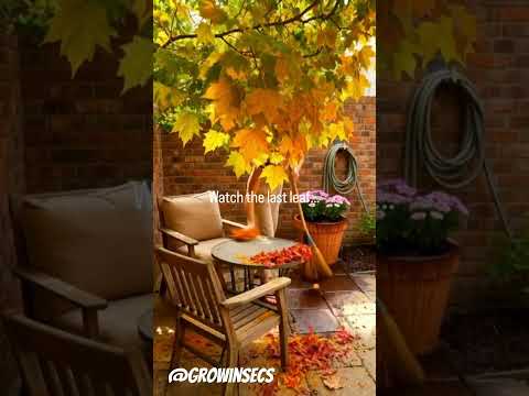 ریزش برگ های پاییزی در دهه 30 秋の葉が落ちる30秒 शरद पत त ग रत دهه 30 شلوارک ویروسی ریزش برگ های پاییزی در دهه 30 秋の葉が落ちる30秒 शरद पत त ग रत دهه 30 شلوارک ویروسی