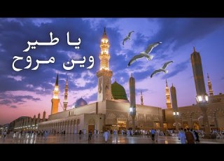 يا طير وين مروح