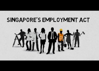  All You Need To Know About Singapore S Employment Act Part 1