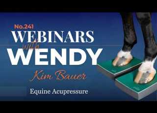 No 241 Kim Bauer Equine Acupressure