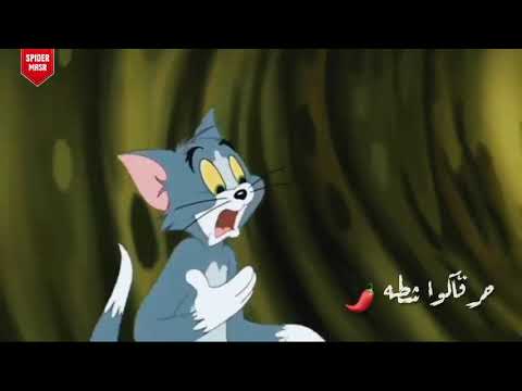 الملكة يارا محمد شيفاكوا هوا