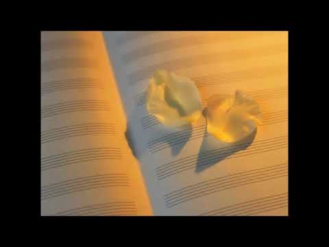 نغمة المشهورة في فيلم خلي بالك من عقلك نغمة المشهورة في فيلم خلي بالك من عقلك