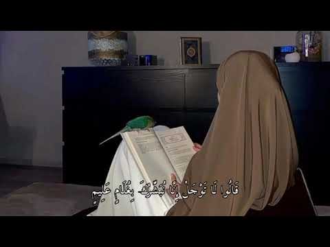 سورة الحجر بصوت سهيلة ايمن من اية٤٩ إلى ٥٦ نبئ عبادي أني أنا الغفور الرحيم 1