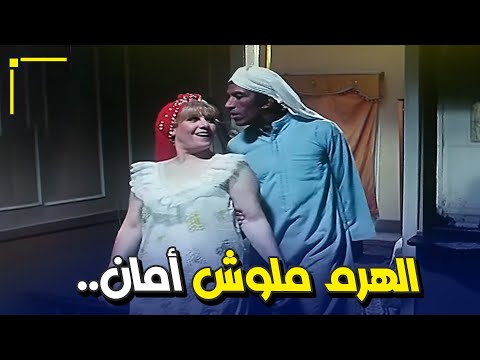 الهرم ملوش أمان وفضيحته على إيد الشيخ حسني في المشهد الشهير الي هيحبس أنفاسك الكيت كات