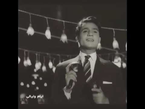 عبدالحليم أيام وليالي