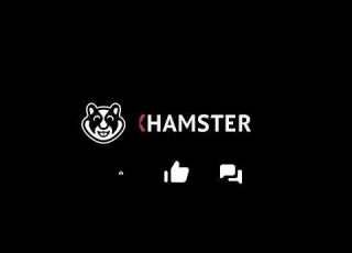 XHamster Logo Intro Sound Effect And Green Screen Shorts Copyrightfree Soundeffect