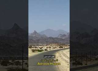 من الفن البجاوي الأصيل