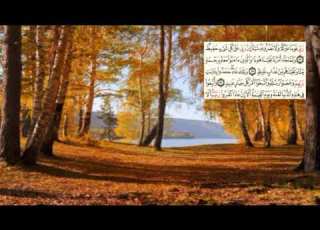 صفحة 228 Page سعد الغامدي سورة هود 11 Hud