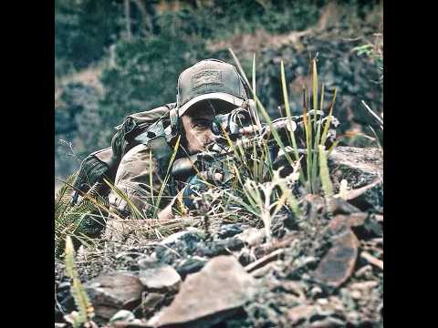 The Sniper Successfully Rescued The Civilians Shorts Movie