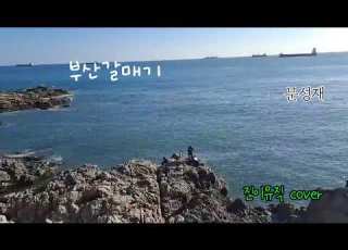 부산 갈매기 문성재 진이뮤직 Cover