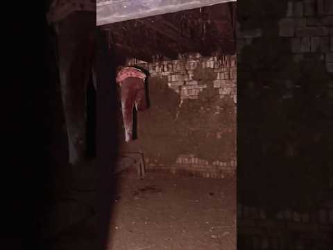 دعوتكم ياجماعه لي مانو