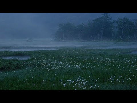 س ورة ي وسف م رتله ب صوت عمر ضياء الدين مع صوت مطر