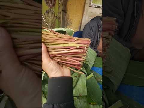 القات المتتشو اديس ابابا سياحة اثيوبيا