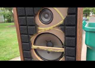 Speaker Blowing 16