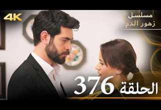 الحلقة 376 مسلسل زهور الدم مدبلج بالعربية Kan Çiçekleri جودة 4K