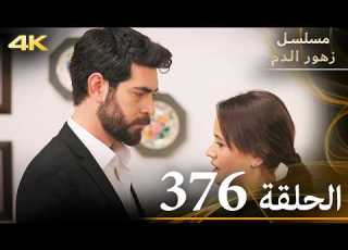 الحلقة 376 مسلسل زهور الدم مدبلج بالعربية Kan Çiçekleri جودة 4K