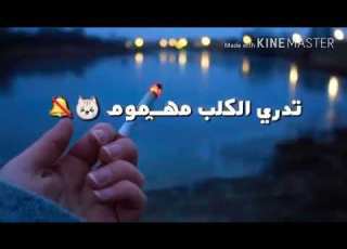  وشعجب قاطع بيا