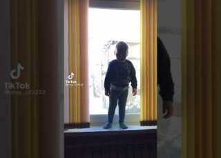  Упал с окна Shorts