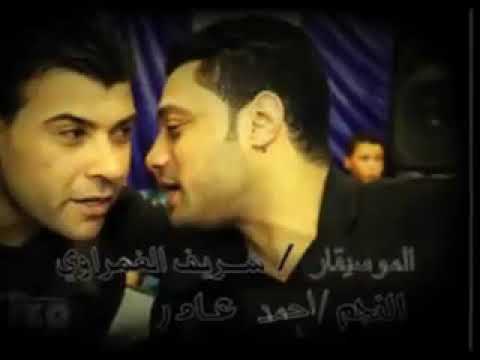 احمد عامر وحشونى مع الاسد شريف الغمراوى احمد عامر وحشونى مع الاسد شريف الغمراوى