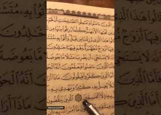  كيفيه نطق إن الله لا يستحى ان يضرب مثلا ما بعوضه في سوره البقره