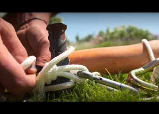 Clip Mariage BeLounge