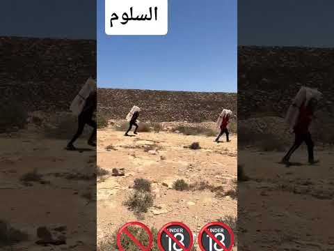 خط تهريب السلوم البري