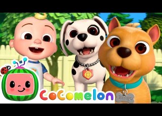 BINGO Puppy Play Date CoComelon Nursery Rhymes Kids Songs