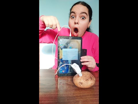 شحنت التلفون بالبطاطس