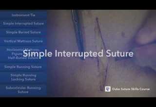 Simple Interrupted Suture Learn Suture Techniques الخياطة الجراحية