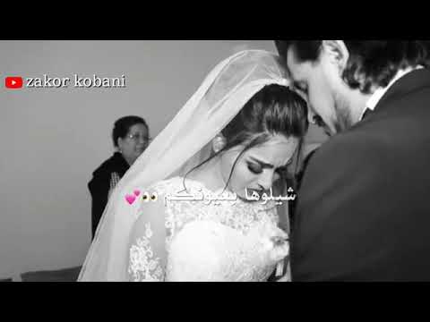 شيلوها بعيونك اصعب لحظه وداع العروس لأهلها واخواتها يااااااااا الله ما اصعبها