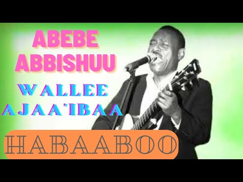 Abebe Abbishuu Habaaboo Goree Oromo Music