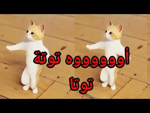 اغنية باسم توتة توتا الحلوة توته توتا السعودية الكويت تركيا العراق قطر الجزائر الرياض دبي جده اغنية باسم توتة توتا الحلوة توته توتا السعودية الكويت تركيا العراق قطر الجزائر الرياض دبي جده