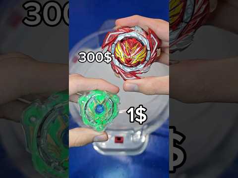 أغلى بلبل ضد أرخص بلبل