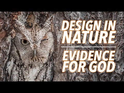 Design In Nature As Evidence For God