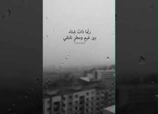  ربما ذات شتاء