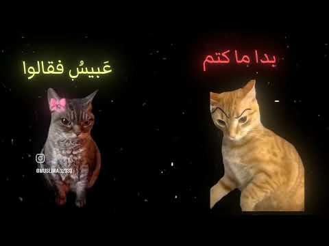 ضحكت فقالوا الا تحتشم اكسبلور نشيد قصيدة تصميم فيديوهات