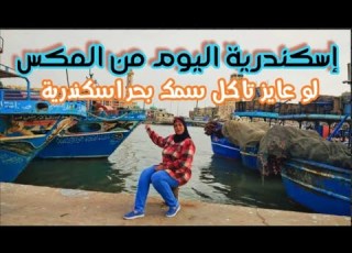 The Most Beautiful Place In Alexandria Port Of Mex How To Buy And Eat Fish From The Sea