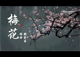 鄧麗君 梅花 詞曲 劉家昌 梅花 梅花滿天下 愈冷它愈開花